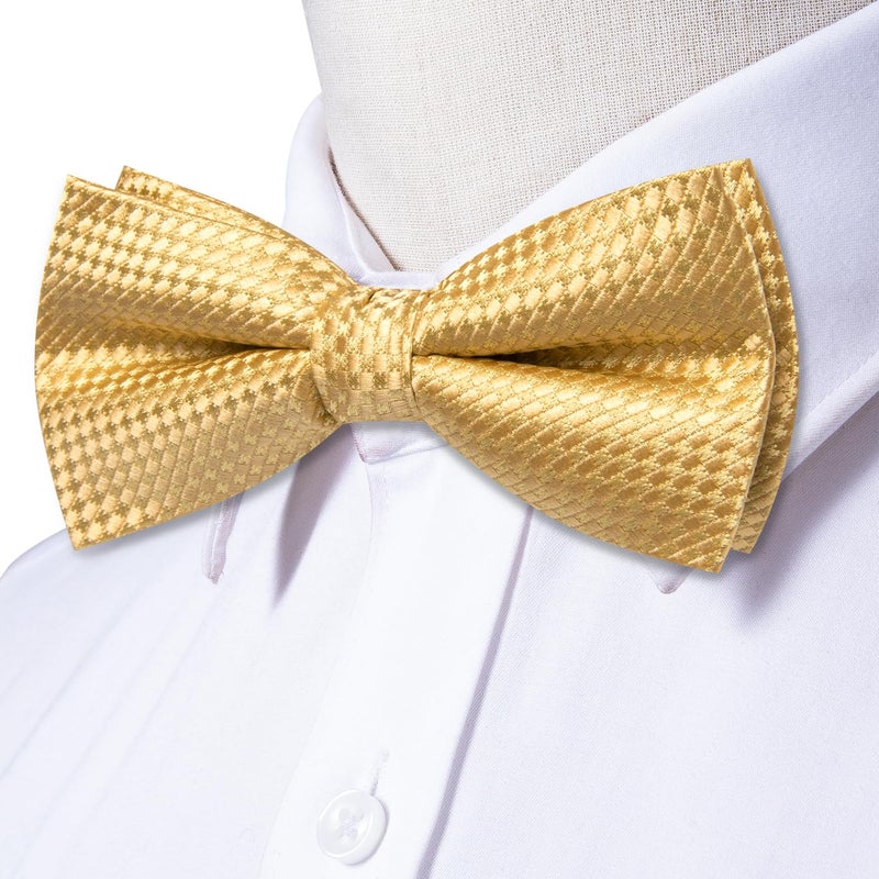 Dubulle Mens Gold Paisley Striped Bowtie Set Pre-tied Bowtie for Men and Pocket Square Set Wedding Business - Image 4
